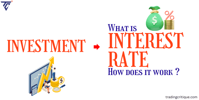 What is Interest? Definition & Process with easy explanation