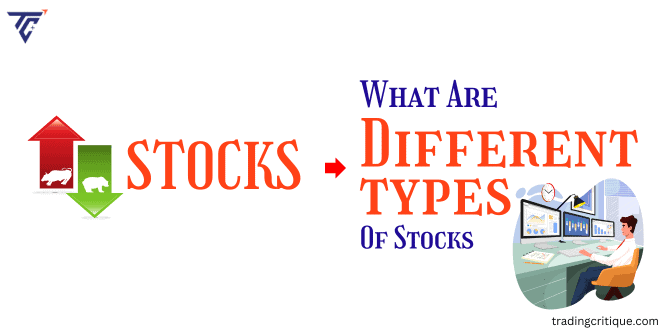 Different Types of Stock Market Investments