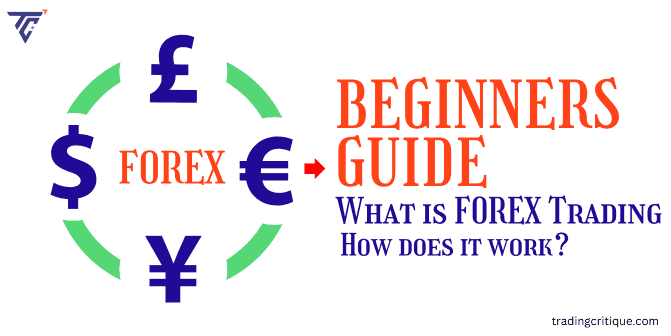 Beginners to Know: What is Forex Trading and How Does it Work?