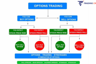 Option Trading