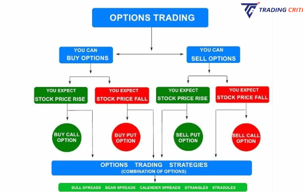 Option Trading