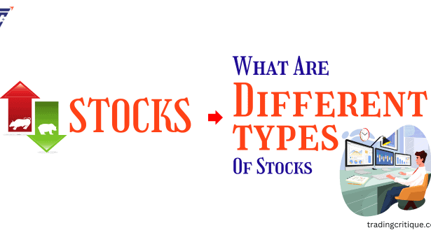 Stock Market Investments