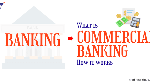 Commercial Banking What is it How does it work [Things to Know]