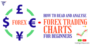 How to Read Forex Charts for Beginners • Simple Methods