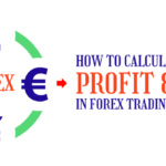 How Is P/L Calculated in Forex Trading? - TradingCritique