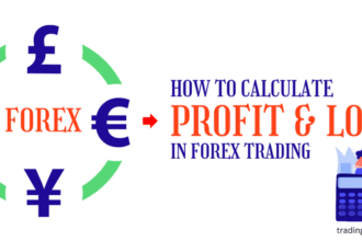 How Is P/L Calculated in Forex Trading? - TradingCritique