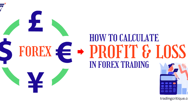 How Is P/L Calculated in Forex Trading? - TradingCritique