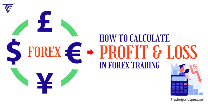 How Is P/L Calculated in Forex Trading? - TradingCritique