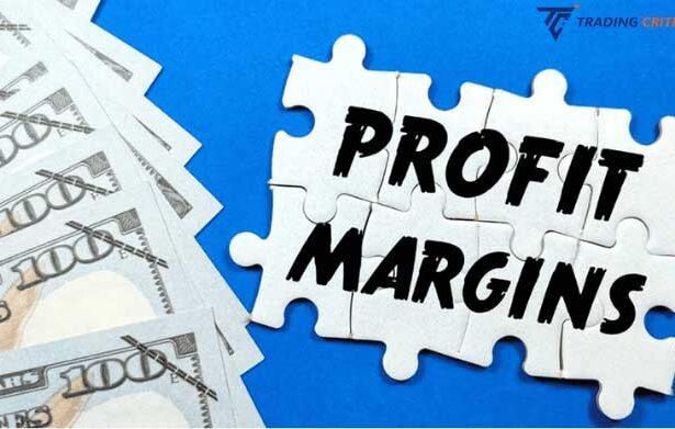 Profit Margin01