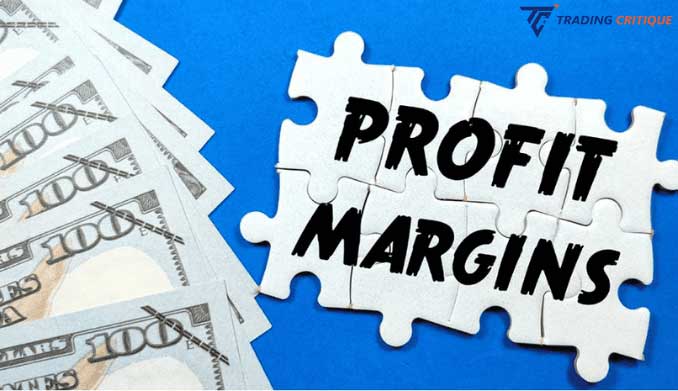 Profit Margin01