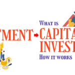 What is Capital Investment