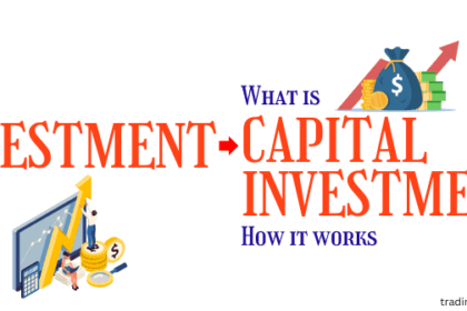 What is Capital Investment