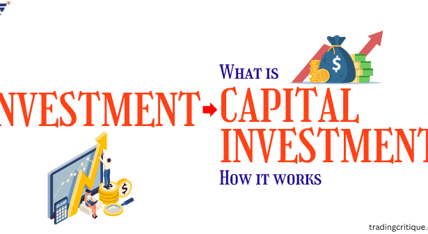 What is Capital Investment