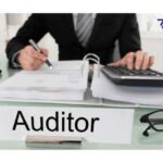 auditor