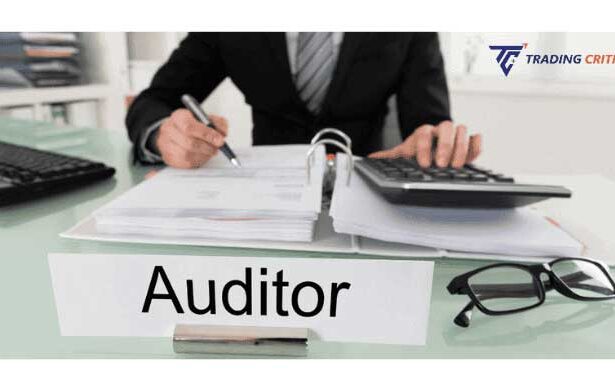 auditor