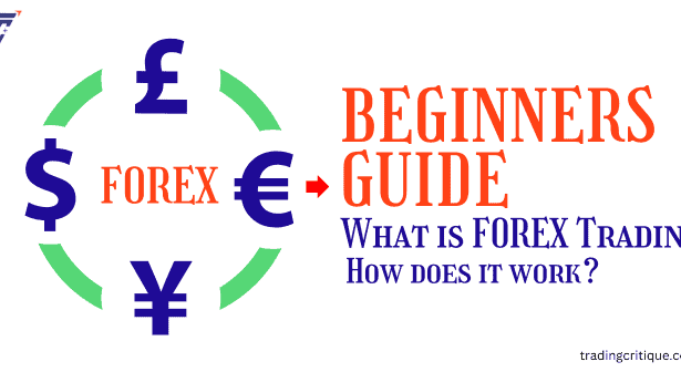 What is Forex Trading, and How Does It Work for Beginners?