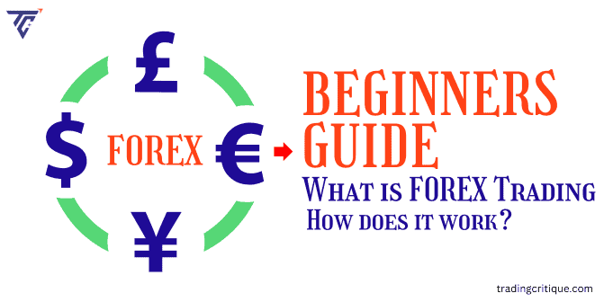 What is Forex Trading, and How Does It Work for Beginners?