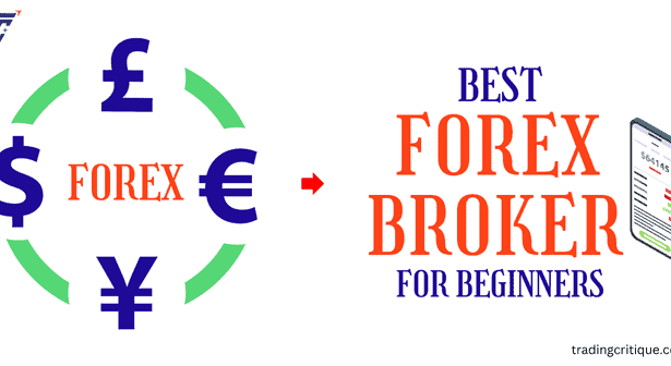 What is a forex broker and forex trading brokers