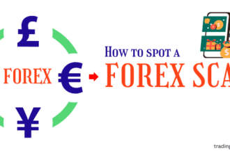 How to Spot a Forex Scams