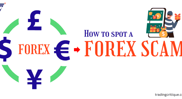 How to Spot a Forex Scams