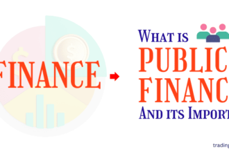 public finance