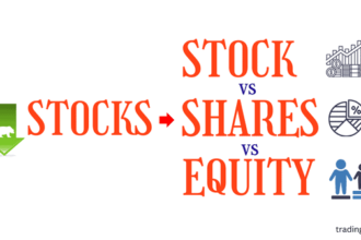 stock shares equity