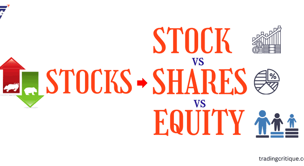 stock shares equity