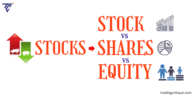 stock shares equity