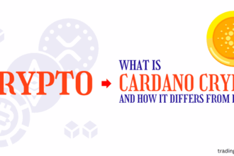 What is Cardano Crypto, How Does It Differ from Bitcoin?