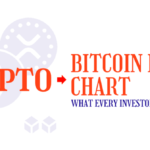 Bitcoin Halving Chart: What Every Investor Needs to Know in 2024