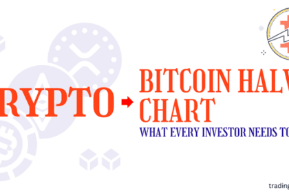 Bitcoin Halving Chart: What Every Investor Needs to Know in 2024