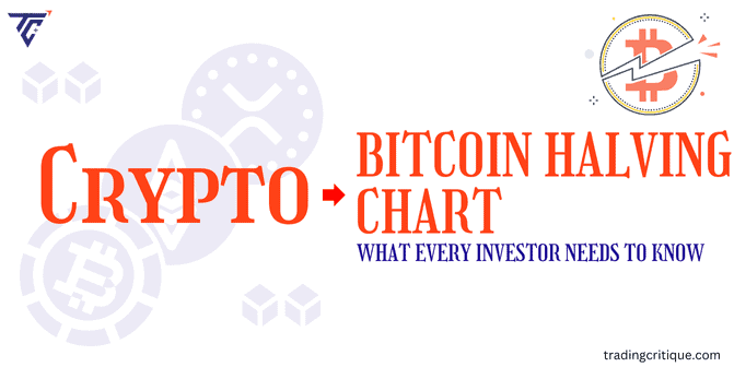 Bitcoin Halving Chart: What Every Investor Needs to Know in 2024