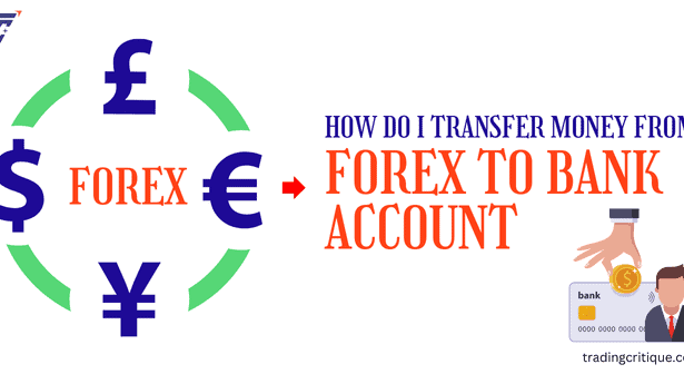 6 Steps to Transfer Money From Forex to Bank Account?