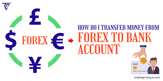 6 Steps to Transfer Money From Forex to Bank Account?