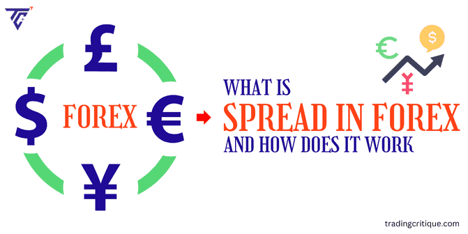 Beginner Trader - What Is Spread in Forex?