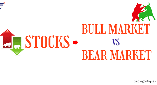 bullish market vs bearish market