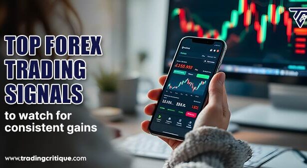 Forex Trading Signals