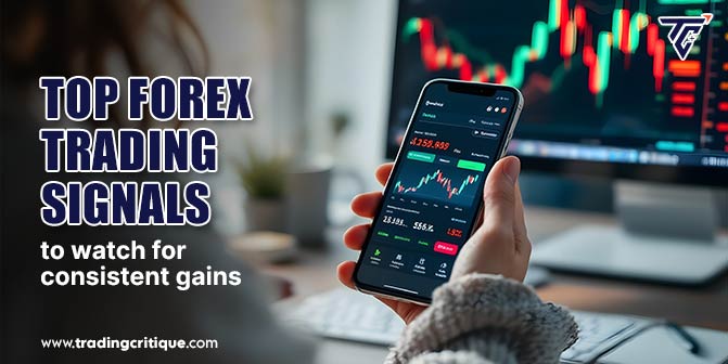 Forex Trading Signals