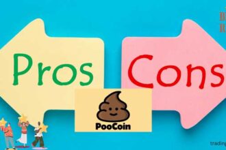poocoin review