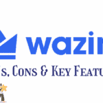 wazirx review