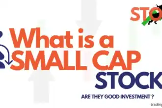 what is small cap stocks