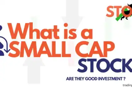 what is small cap stocks