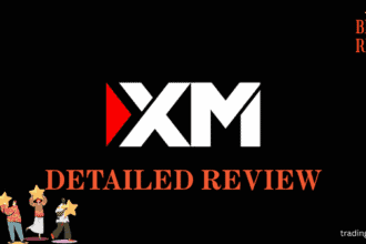 XM detailed review