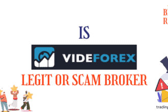 Videforex scam