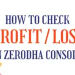 How to check profit and loss in Zerotha