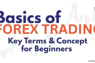 Basics of Forex Trading