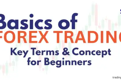Basics of Forex Trading